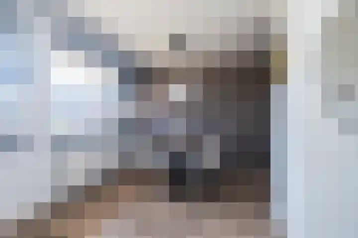 Gerberalaan 91 Naaldwijk thumbnail 10
