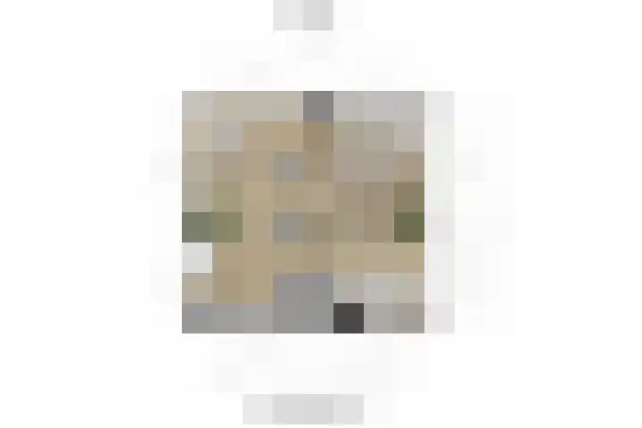 Gerberalaan 91 Naaldwijk thumbnail 13