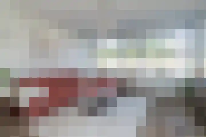 Gerberalaan 91 Naaldwijk thumbnail 8
