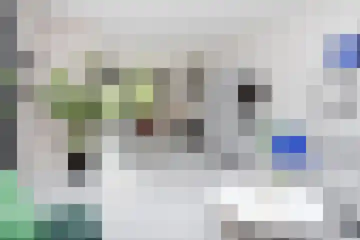 Gerberasingel 124 Berkel en Rodenrijs thumbnail 10