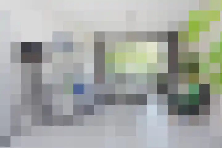 Gerberasingel 124 Berkel en Rodenrijs thumbnail 11