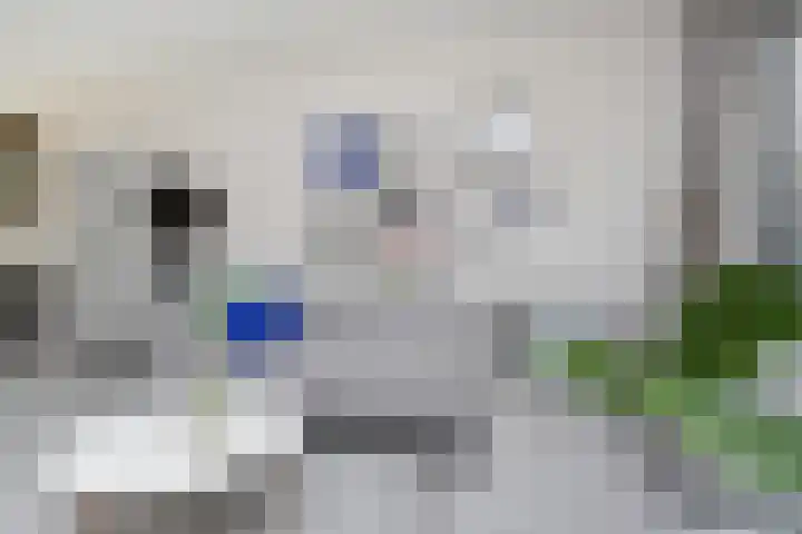Gerberasingel 124 Berkel en Rodenrijs thumbnail 12