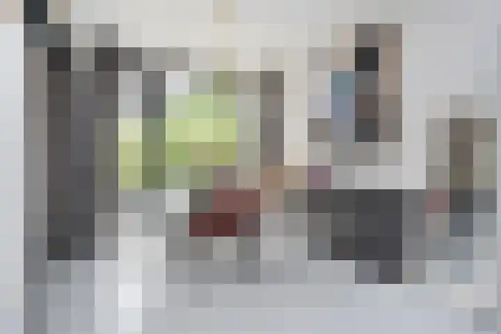 Gerberasingel 124 Berkel en Rodenrijs thumbnail 13