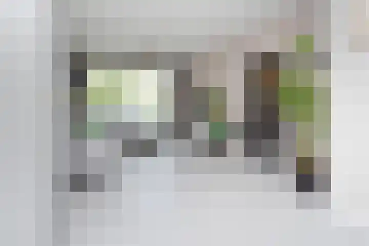 Gerberasingel 124 Berkel en Rodenrijs thumbnail 14