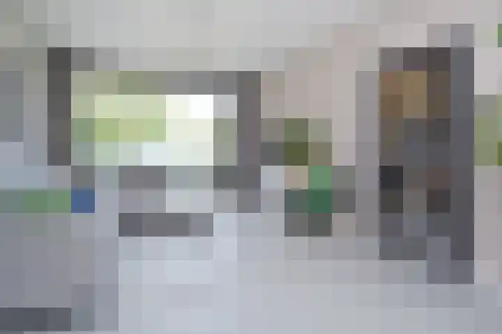 Gerberasingel 124 Berkel en Rodenrijs thumbnail 16