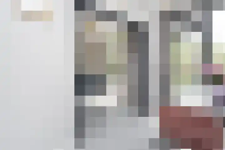 Gerberasingel 124 Berkel en Rodenrijs thumbnail 17