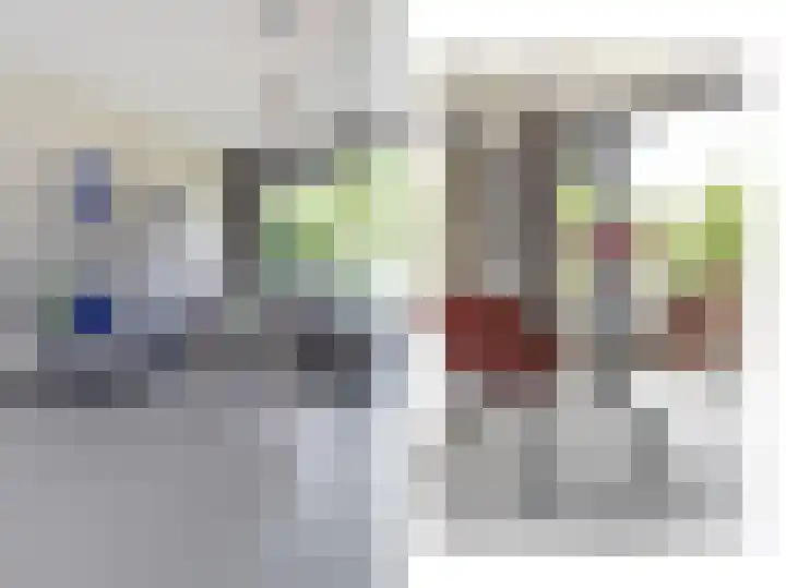 Gerberasingel 124 Berkel en Rodenrijs thumbnail 21
