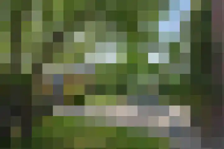 Gerberasingel 124 Berkel en Rodenrijs thumbnail 22