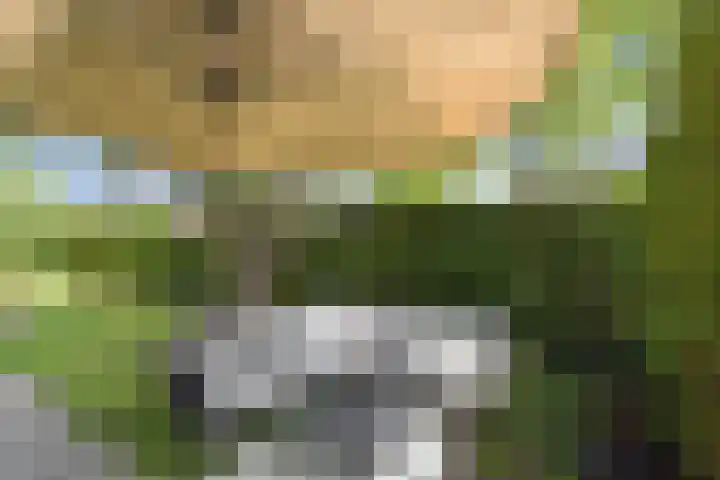 Gerberasingel 124 Berkel en Rodenrijs thumbnail 24