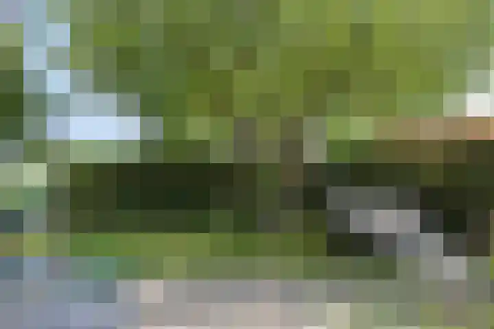 Gerberasingel 124 Berkel en Rodenrijs thumbnail 25
