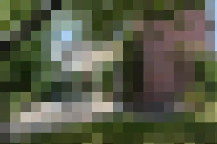 Gerberasingel 124 Berkel en Rodenrijs thumbnail 26