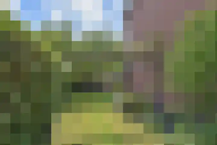 Gerberasingel 124 Berkel en Rodenrijs thumbnail 27