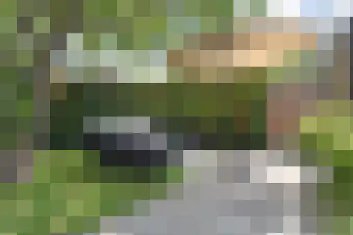 Gerberasingel 124 Berkel en Rodenrijs thumbnail 29