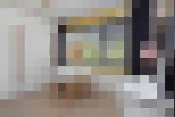 Gerberasingel 124 Berkel en Rodenrijs thumbnail 32