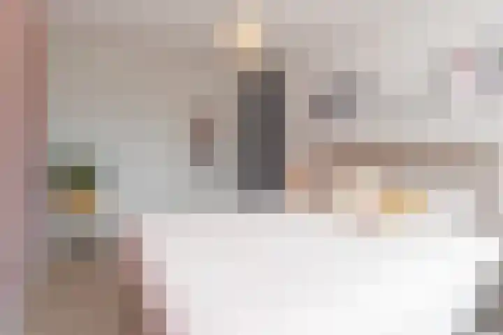Gerberasingel 124 Berkel en Rodenrijs thumbnail 34