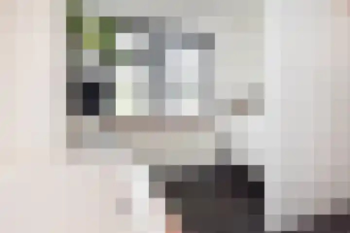 Gerberasingel 124 Berkel en Rodenrijs thumbnail 35