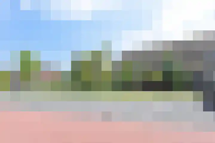 Gerberasingel 124 Berkel en Rodenrijs thumbnail 47