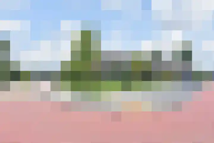 Gerberasingel 124 Berkel en Rodenrijs thumbnail 5