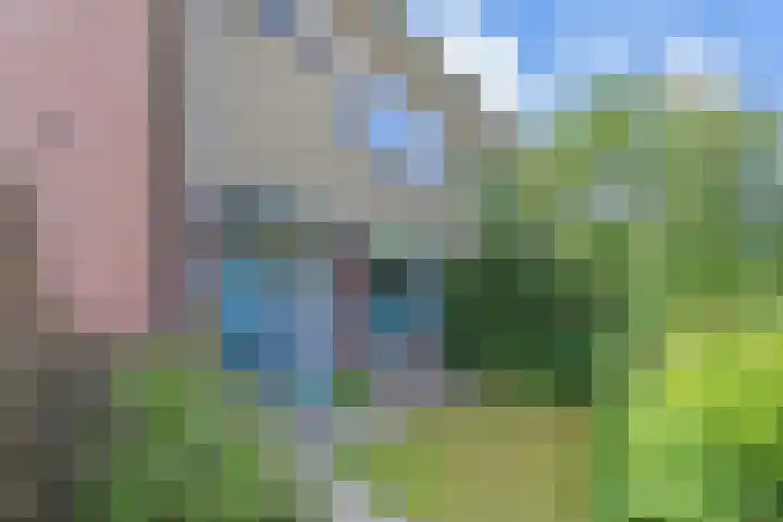 Gerberasingel 124 Berkel en Rodenrijs thumbnail 6