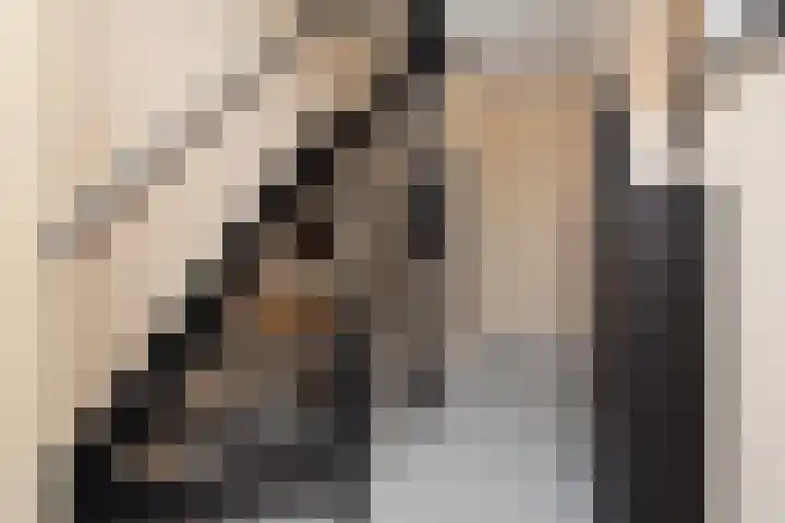 Gerberasingel 124 Berkel en Rodenrijs thumbnail 7