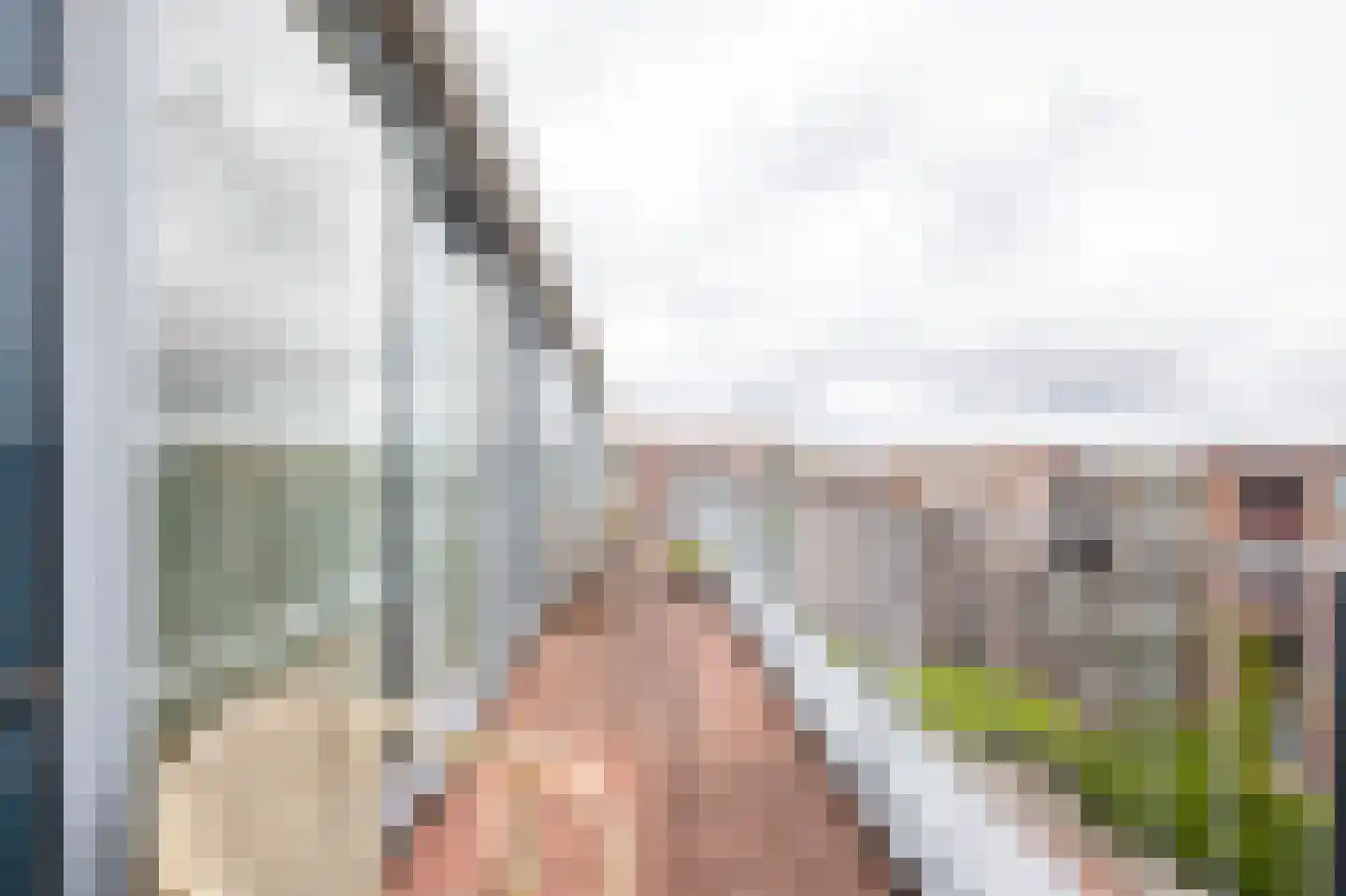 Gerberastraat 115 Aalsmeer thumbnail 25