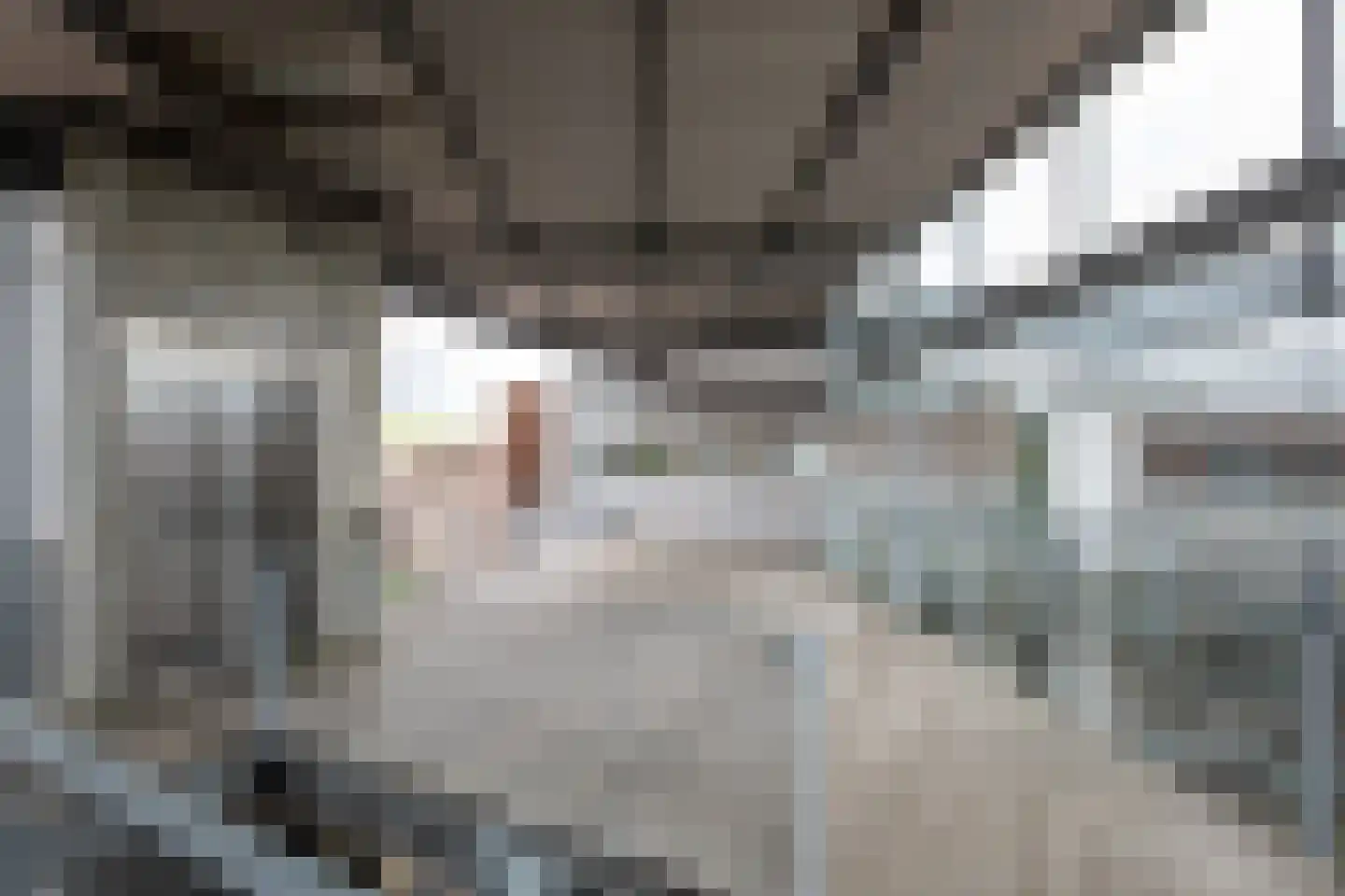 Gerberastraat 115 Aalsmeer thumbnail 30