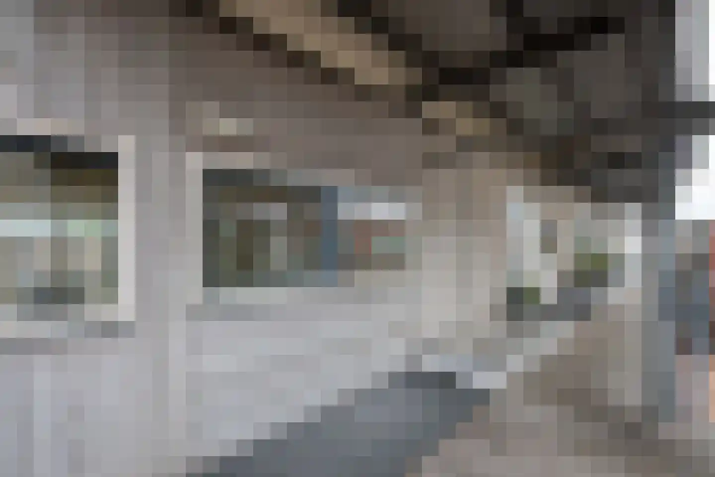 Gerberastraat 115 Aalsmeer thumbnail 31