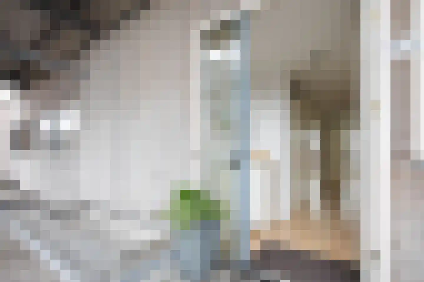 Gerberastraat 115 Aalsmeer thumbnail 6