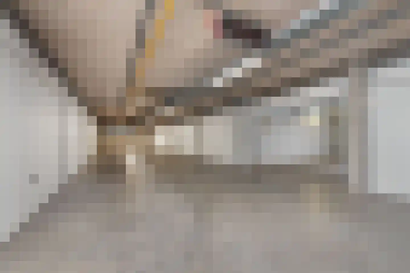 Gerberastraat 141 Aalsmeer thumbnail 20
