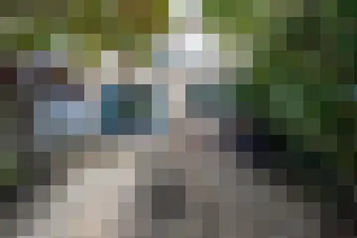 Gerberastraat 15 Noorden thumbnail 20