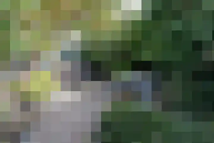 Gerberastraat 15 Noorden thumbnail 21