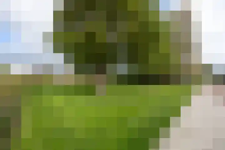 Gerberastraat 15 Noorden thumbnail 5