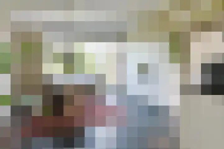 Gerberastraat 16 Noorden thumbnail 13