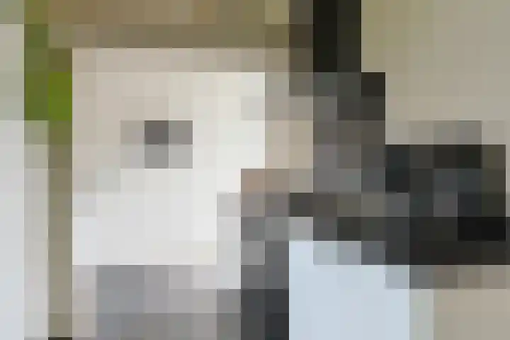 Gerberastraat 16 Noorden thumbnail 14