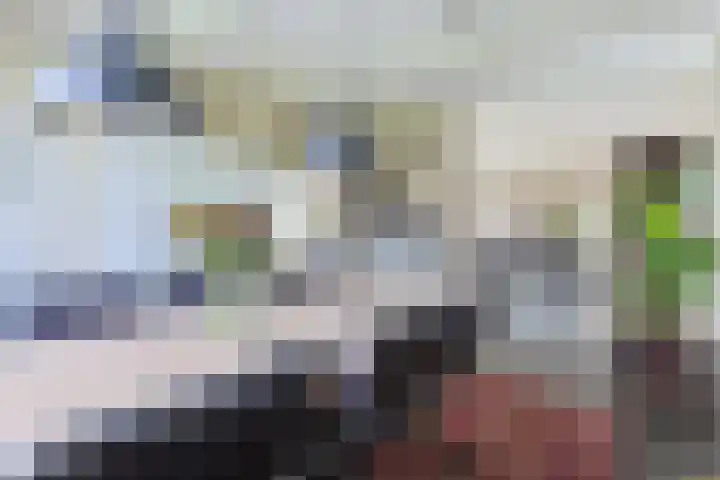 Gerberastraat 16 Noorden thumbnail 16