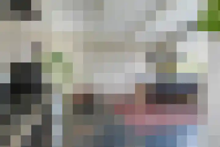 Gerberastraat 16 Noorden thumbnail 17