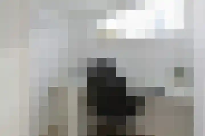 Gerberastraat 16 Noorden thumbnail 31