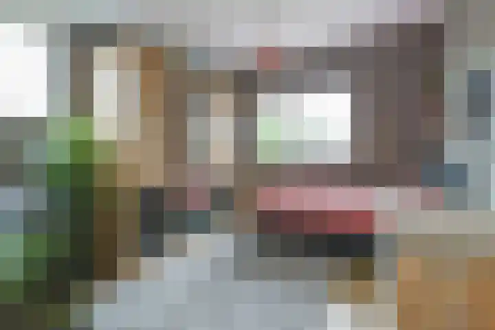 Gerberastraat 16 Noorden thumbnail 32
