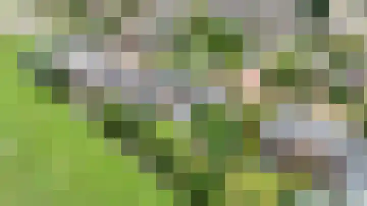 Gerberastraat 16 Noorden thumbnail 35