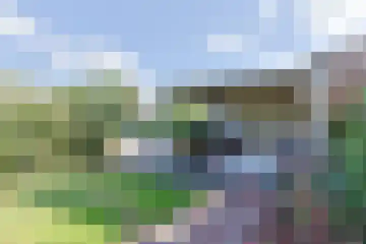 Gerberastraat 16 Noorden thumbnail 39