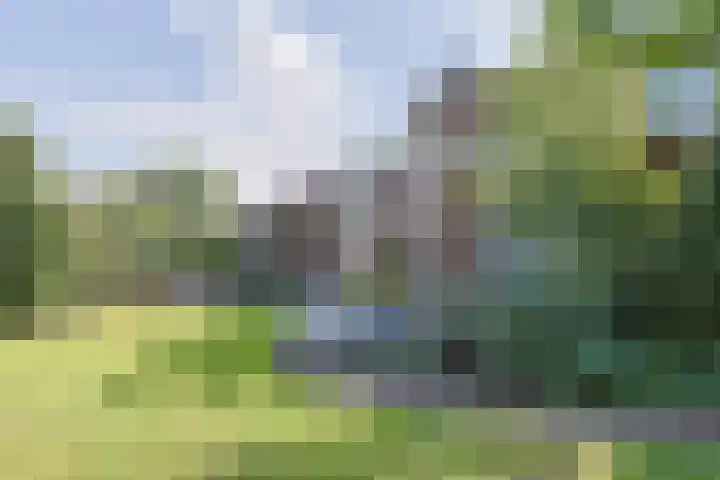 Gerberastraat 16 Noorden thumbnail 42