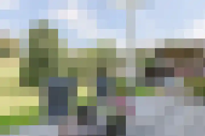 Gerberastraat 16 Noorden thumbnail 44
