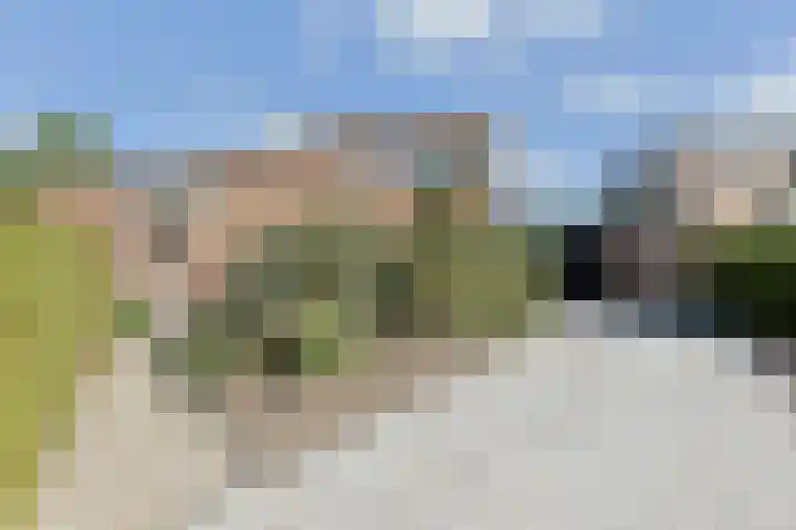 Gerberastraat 16 Noorden thumbnail 51