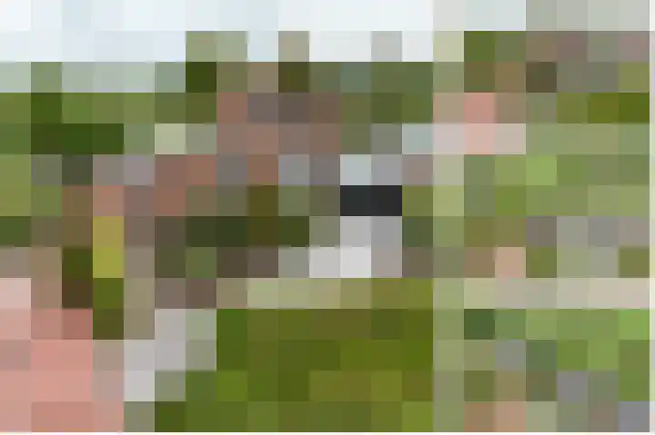 Gerberastraat 16 Noorden thumbnail 55