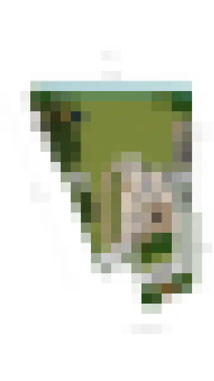 Gerberastraat 16 Noorden thumbnail 56