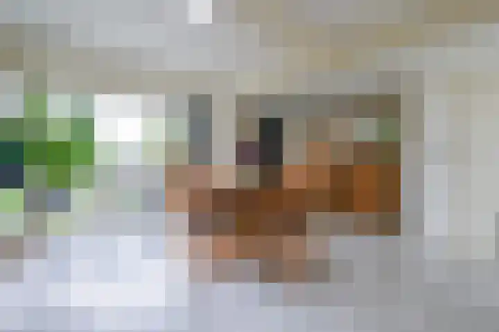 Gerberastraat 26 Noorden thumbnail 14