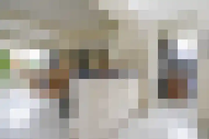 Gerberastraat 26 Noorden thumbnail 19