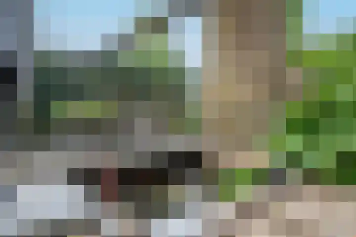 Gerberastraat 26 Noorden thumbnail 41