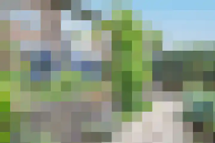 Gerberastraat 26 Noorden thumbnail 48