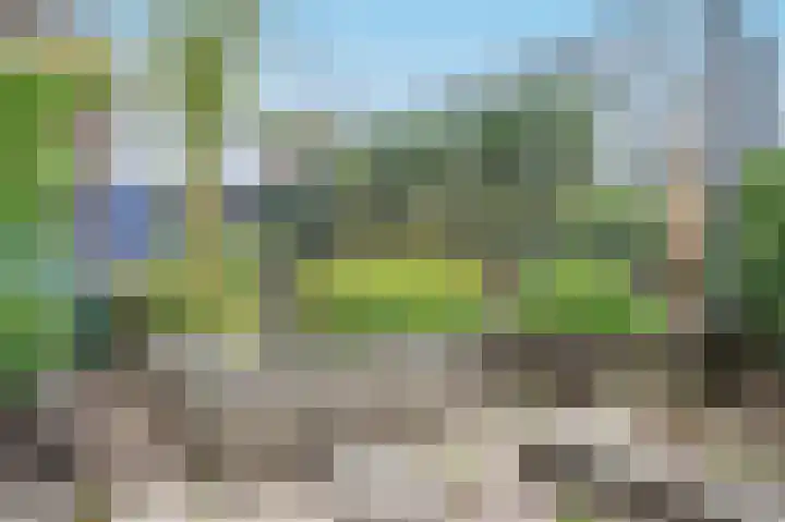 Gerberastraat 26 Noorden thumbnail 50